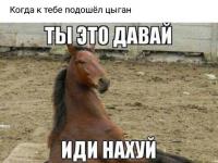 post-19176-14848257558959_thumb.jpg