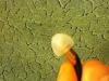 post-8340-1364684846,7708_thumb.jpeg