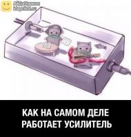 post-12916-0-31061100-1456462163_thumb.jpg