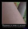 post-7339-1364682696,8388_thumb.jpg