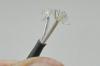 post-3038-0-78119300-1397549192_thumb.jpg