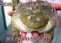 post-14240-0-31982400-1432805614_thumb.jpg