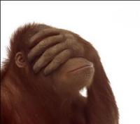 post-12325-0-52087500-1433144172_thumb.jpg