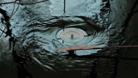 post-22247-0-56291700-1465198550_thumb.gif