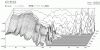 post-1081-1364681867,0141_thumb.gif