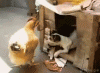 post-2780-1364682237,452_thumb.gif