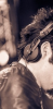post-11060-1364683806,3459_thumb.png