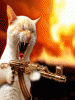 post-2393-1364684034,0767_thumb.gif