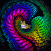 post-2393-1364684151,7715_thumb.gif