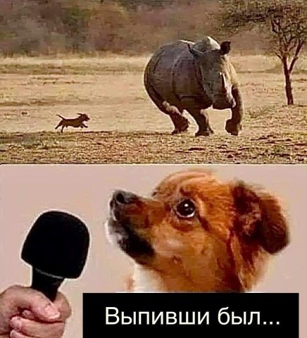 выпивши.jpeg