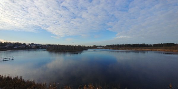 20211110_095920.thumb.jpg.f7e53c593bef61ebe48abbc6e1df1151.jpg