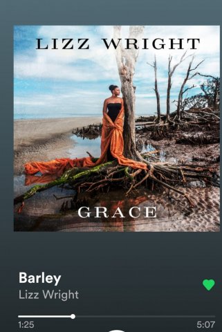 Screenshot_20211212-170042_Spotify.jpg