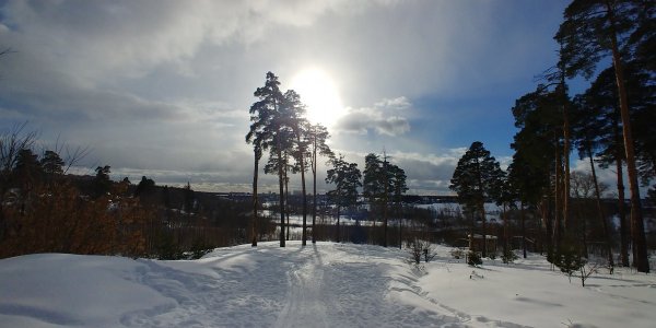 20220212_143633_HDR.jpg