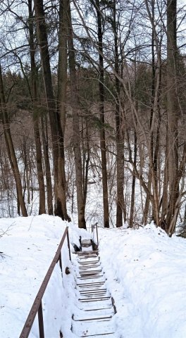 IMG_20220218_134654_1.jpg