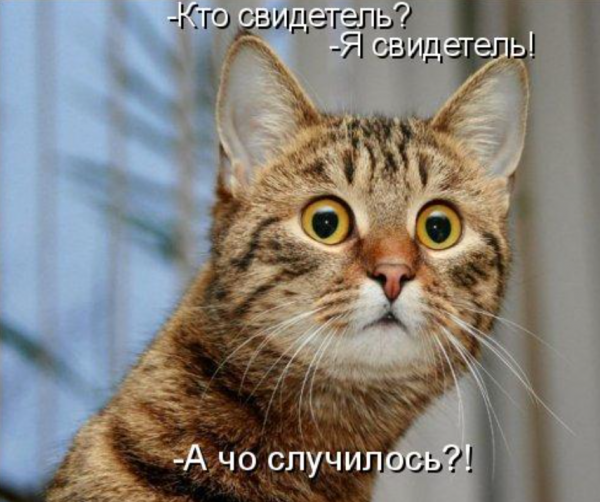image.thumb.png.346aff4897aaa05f9eb5a08984c60c2e.png