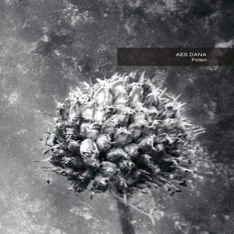 inre055-AES-DANA-Pollen-Reissue-Artwork-1500px-72dpi.jpg