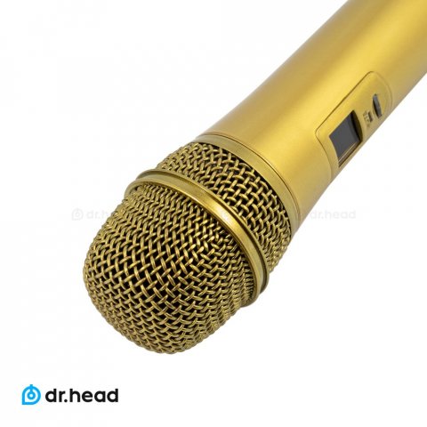 Sennheiser_Gold_3.jpg