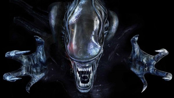 Fans-believe-Aliens-Xenomorph-is-going-to-Dead-By-Daylight-for-its-sixth-anniversary.jpeg