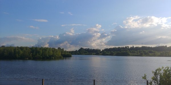 20220712_191735.thumb.jpg.666124ef7c19029a7588fc53ed8b0ad7.jpg
