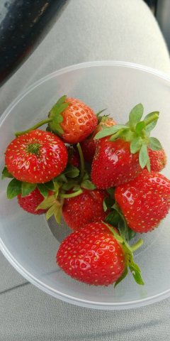 20220814_170716.jpg