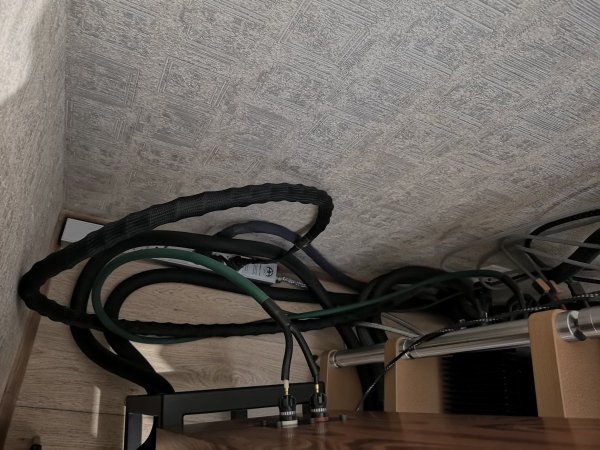 555.thumb.jpg.93c73ee75f697c66ae81815898f73348.jpg