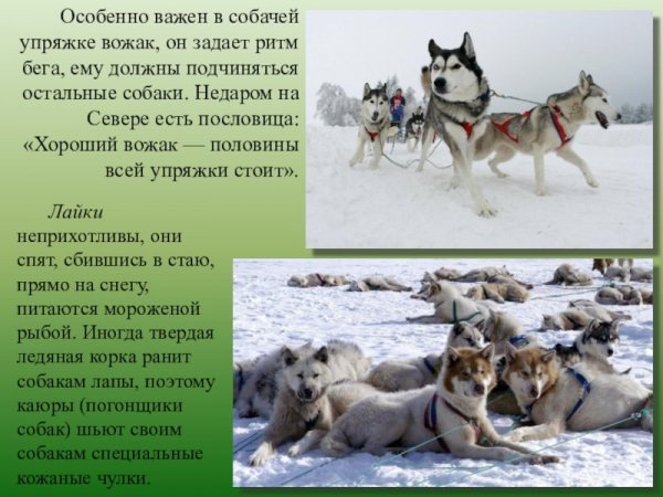 0c9a6c5c66ce733ea345f6c6a8672771-800x.thumb.jpg.6566fbb81ab5d7331452956c4da7ab0f.jpg