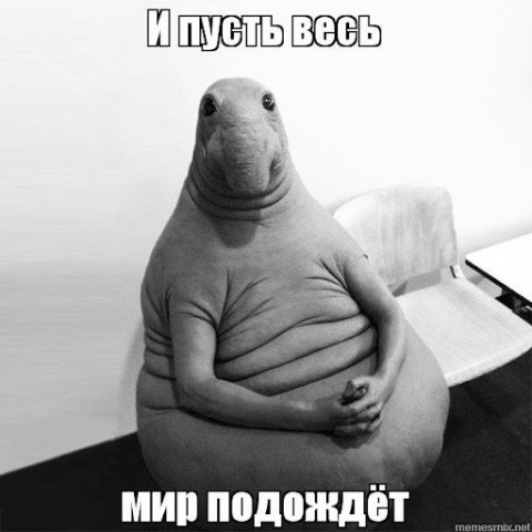 1634587827_4.thumb.jpg.627f91df0a8573608754c849cc68919f.jpg