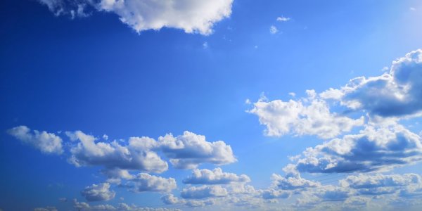1616_2.thumb.jpg.65e2605d7990a29e6dd45e84eb612a24.jpg