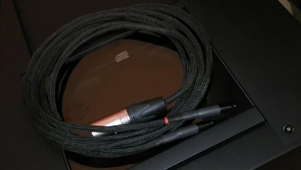 20231110_211837.jpg