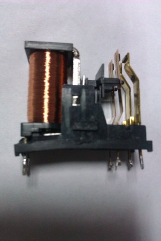 IMAG1231.jpg