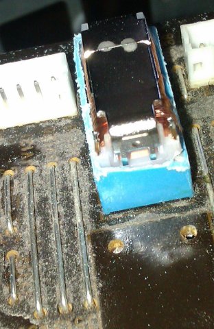 IMAG1255.jpg