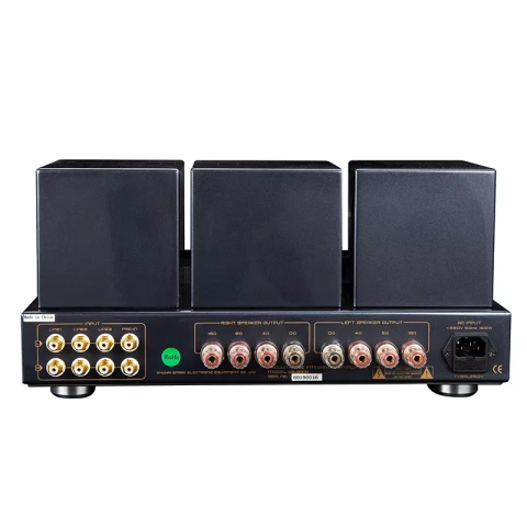 Cayin_CS-300A_back.thumb.jpg.6fda14708ccdabc1d1955ed659a297d1.jpg