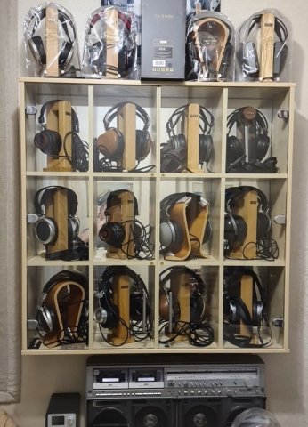 Уши январь 2026.jpg