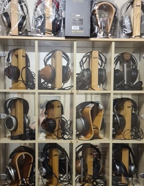 Уши  январь 2026 для форума small.jpg