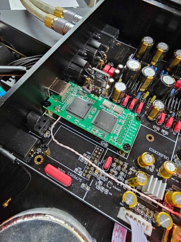 Amanero в цапе.jpg