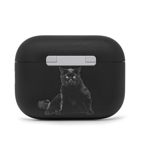 AirPods_Pro_3_Black_Cat_5.jpg